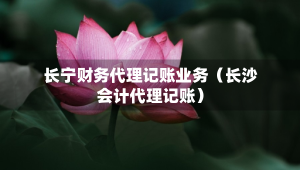 長(zhǎng)寧財(cái)務(wù)代理記賬業(yè)務(wù)（長(zhǎng)沙會(huì)計(jì)代理記賬）