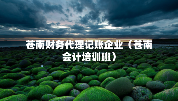 蒼南財(cái)務(wù)代理記賬企業(yè)（蒼南會(huì)計(jì)培訓(xùn)班）