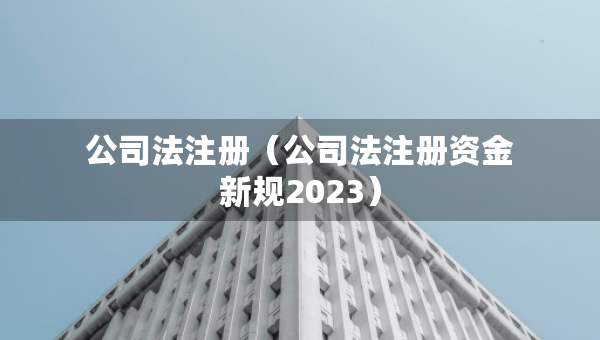 公司法注冊（公司法注冊資金新規(guī)2023）