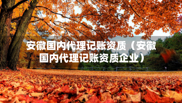 安徽國(guó)內(nèi)代理記賬資質(zhì)（安徽國(guó)內(nèi)代理記賬資質(zhì)企業(yè)）