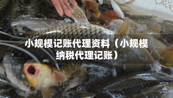 小規(guī)模記賬代理資料（小規(guī)模納稅代理記賬）