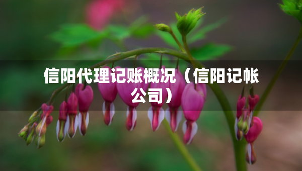 信陽(yáng)代理記賬概況（信陽(yáng)記帳公司）