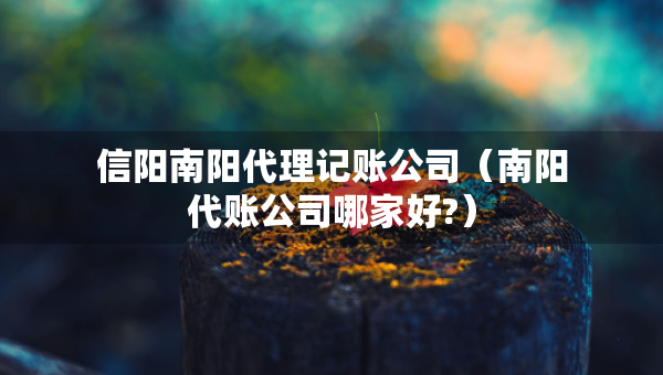 信陽南陽代理記賬公司（南陽代賬公司哪家好?）