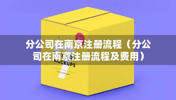 分公司在南京注冊(cè)流程（分公司在南京注冊(cè)流程及費(fèi)用）