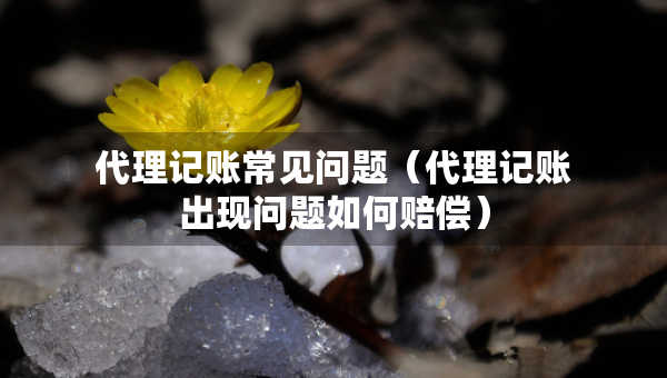 代理記賬常見問題（代理記賬出現(xiàn)問題如何賠償）