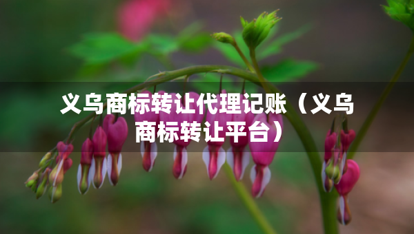 義烏商標(biāo)轉(zhuǎn)讓代理記賬（義烏商標(biāo)轉(zhuǎn)讓平臺）