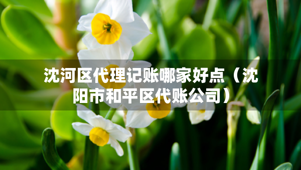 沈河區(qū)代理記賬哪家好點(diǎn)（沈陽市和平區(qū)代賬公司）