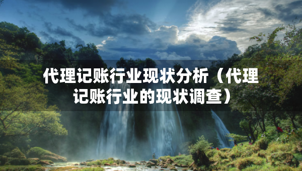 代理記賬行業(yè)現(xiàn)狀分析（代理記賬行業(yè)的現(xiàn)狀調(diào)查）