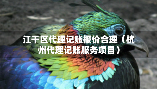 江干區(qū)代理記賬報價合理（杭州代理記賬服務(wù)項目）