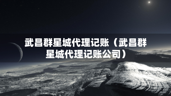 武昌群星城代理記賬（武昌群星城代理記賬公司）