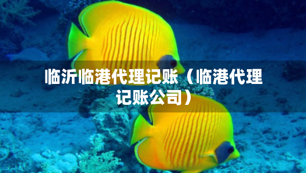 臨沂臨港代理記賬（臨港代理記賬公司）