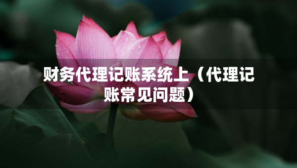 財務(wù)代理記賬系統(tǒng)上（代理記賬常見問題）