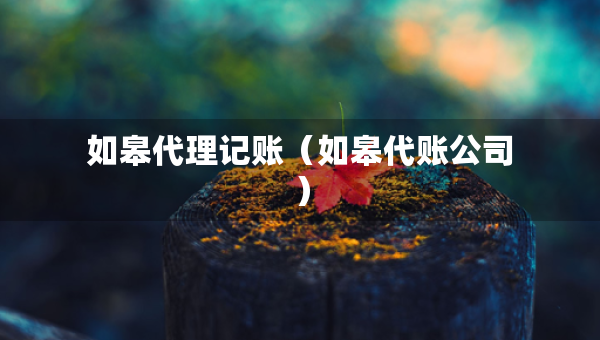 如皋代理記賬（如皋代賬公司）