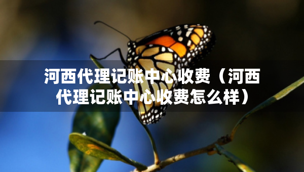 河西代理記賬中心收費(fèi)（河西代理記賬中心收費(fèi)怎么樣）