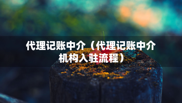 代理記賬中介（代理記賬中介機(jī)構(gòu)入駐流程）