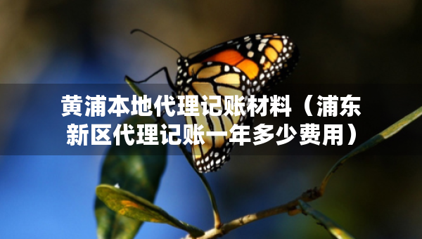 黃浦本地代理記賬材料（浦東新區(qū)代理記賬一年多少費用）