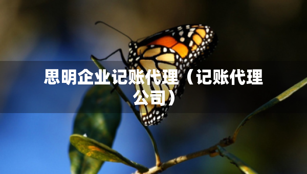 思明企業(yè)記賬代理（記賬代理公司）