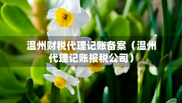 溫州財(cái)稅代理記賬備案（溫州代理記賬報(bào)稅公司）