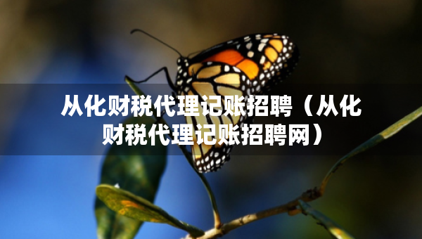 從化財(cái)稅代理記賬招聘（從化財(cái)稅代理記賬招聘網(wǎng)）