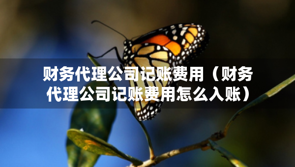 財務(wù)代理公司記賬費(fèi)用（財務(wù)代理公司記賬費(fèi)用怎么入賬）