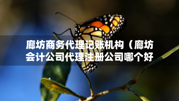 廊坊商務(wù)代理記賬機(jī)構(gòu)（廊坊會(huì)計(jì)公司代理注冊(cè)公司哪個(gè)好）