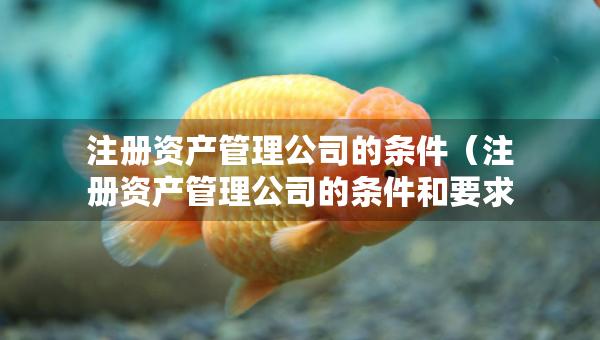 注冊資產管理公司的條件（注冊資產管理公司的條件和要求）