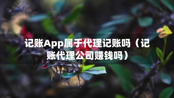 記賬App屬于代理記賬嗎（記賬代理公司賺錢嗎）