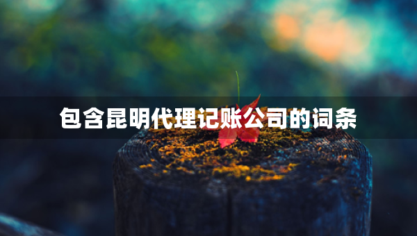 包含昆明代理記賬公司的詞條