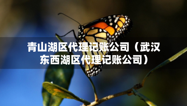 青山湖區(qū)代理記賬公司（武漢東西湖區(qū)代理記賬公司）