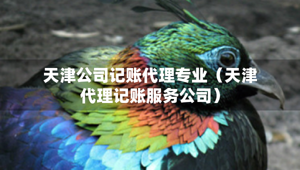 天津公司記賬代理專業(yè)（天津代理記賬服務公司）