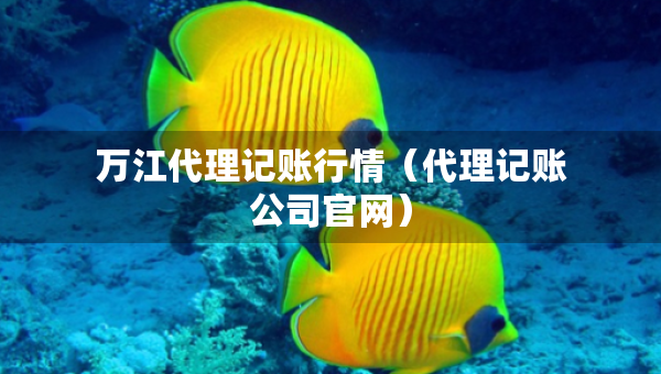 萬江代理記賬行情（代理記賬公司官網(wǎng)）