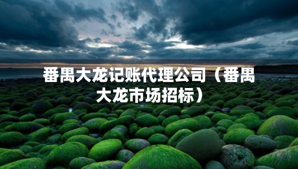 番禺大龍記賬代理公司（番禺大龍市場(chǎng)招標(biāo)）