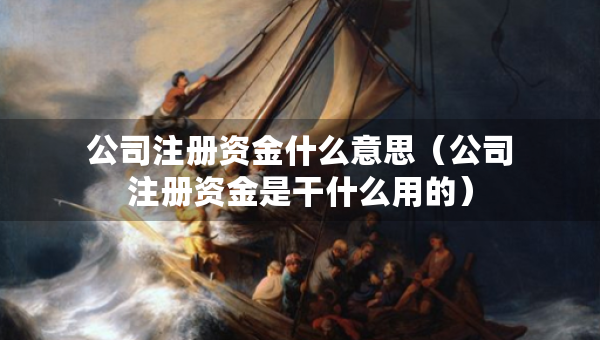 公司注冊資金什么意思（公司注冊資金是干什么用的）