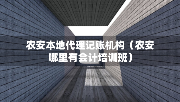 農(nóng)安本地代理記賬機構(gòu)（農(nóng)安哪里有會計培訓(xùn)班）