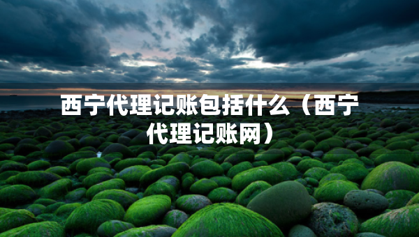 西寧代理記賬包括什么（西寧代理記賬網(wǎng)）