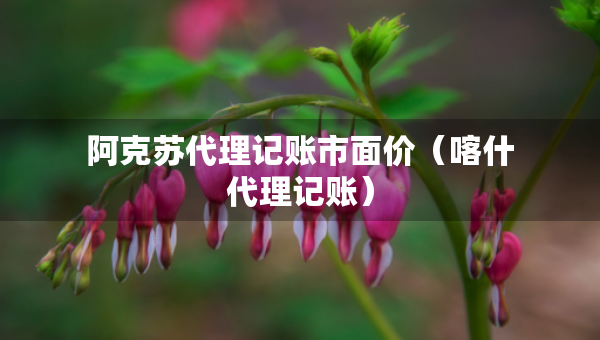 阿克蘇代理記賬市面價(jià)（喀什代理記賬）