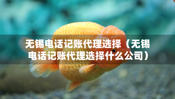 無錫電話記賬代理選擇（無錫電話記賬代理選擇什么公司）