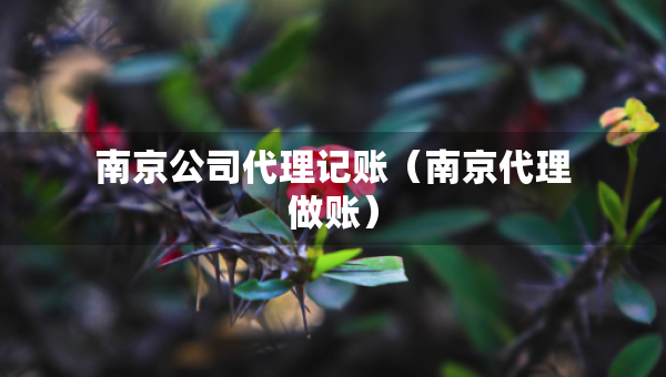 南京公司代理記賬（南京代理做賬）