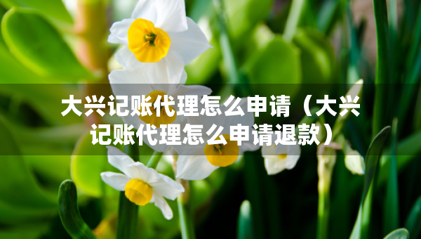 大興記賬代理怎么申請(qǐng)（大興記賬代理怎么申請(qǐng)退款）