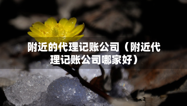 附近的代理記賬公司（附近代理記賬公司哪家好）