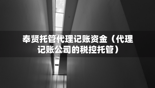 奉賢托管代理記賬資金（代理記賬公司的稅控托管）