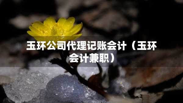 玉環(huán)公司代理記賬會(huì)計(jì)（玉環(huán)會(huì)計(jì)兼職）