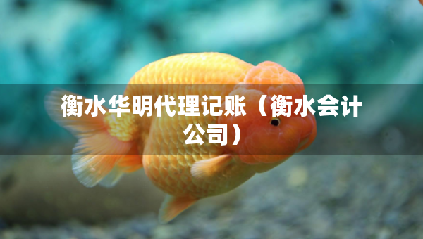 衡水華明代理記賬（衡水會計公司）