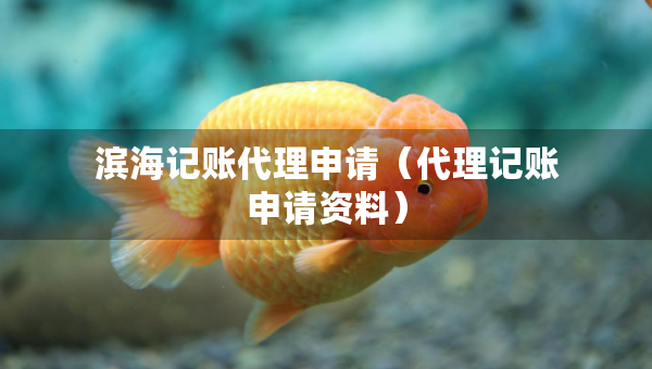 濱海記賬代理申請（代理記賬申請資料）