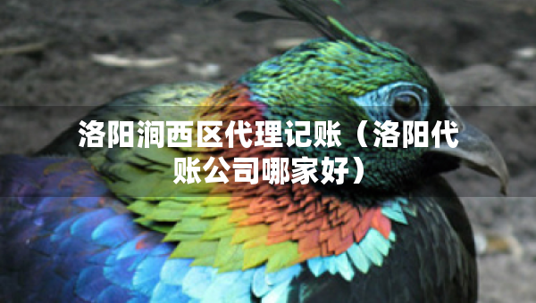 洛陽澗西區(qū)代理記賬（洛陽代賬公司哪家好）