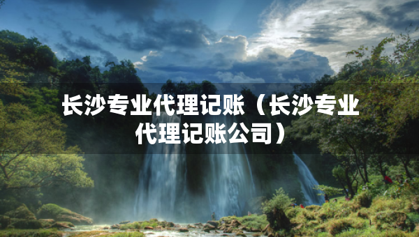 長沙專業(yè)代理記賬（長沙專業(yè)代理記賬公司）