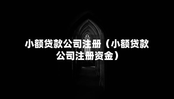 小額貸款公司注冊(cè)（小額貸款公司注冊(cè)資金）