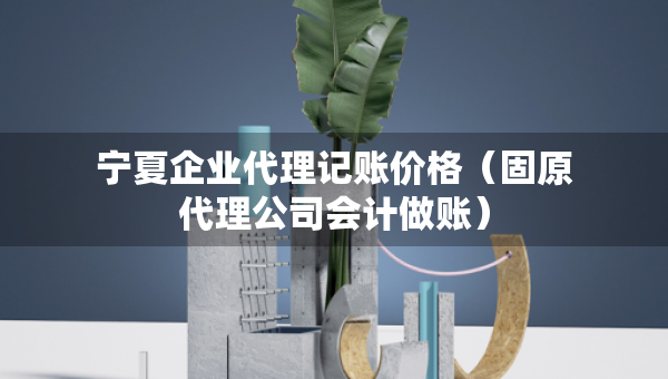 寧夏企業(yè)代理記賬價(jià)格（固原代理公司會(huì)計(jì)做賬）