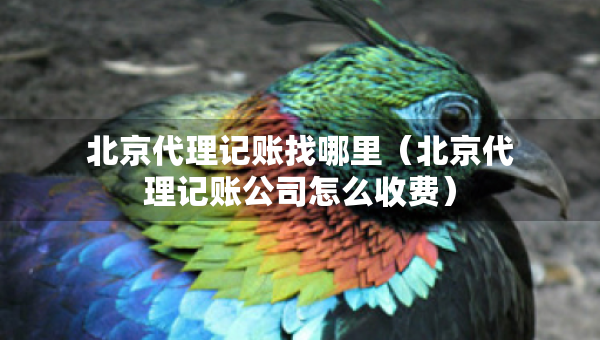 北京代理記賬找哪里（北京代理記賬公司怎么收費）