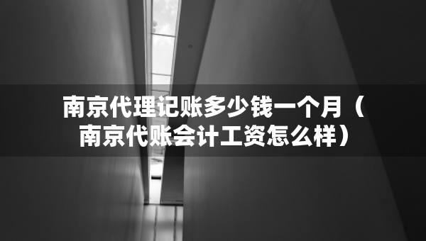 南京代理記賬多少錢一個月（南京代賬會計工資怎么樣）